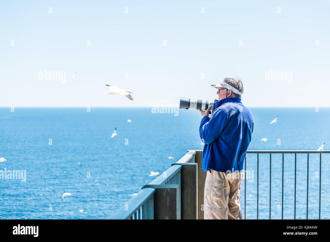 Perce, Kanada - Juni 6, 2017: Fotograf Mann die Bilder von Vögel Gannet colony Nesting auf einer Klippe auf der Insel Bonaventure in Quebec, Kanada von Keuchen Stockfoto