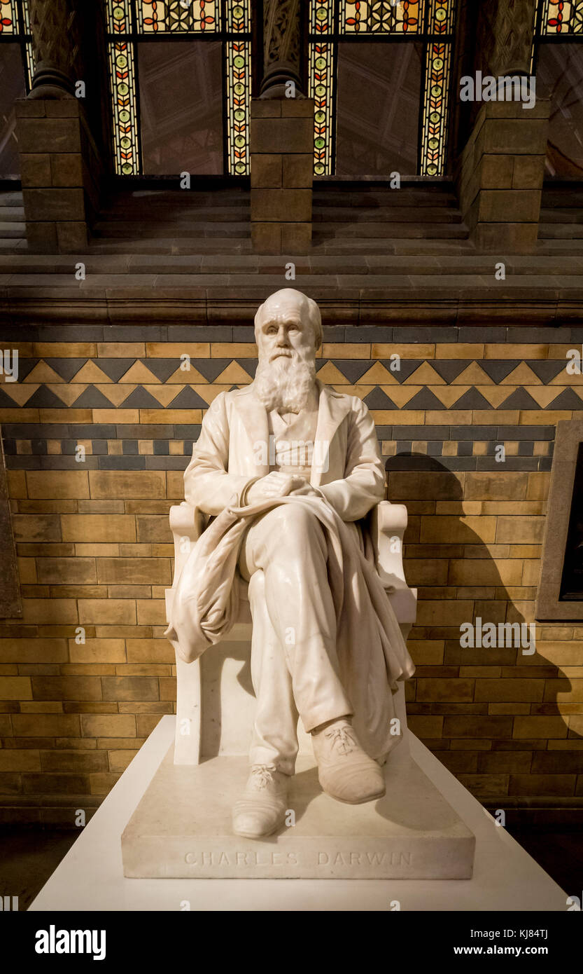 Charles Darwin statue am Natural History Museum, London, UK. Stockfoto