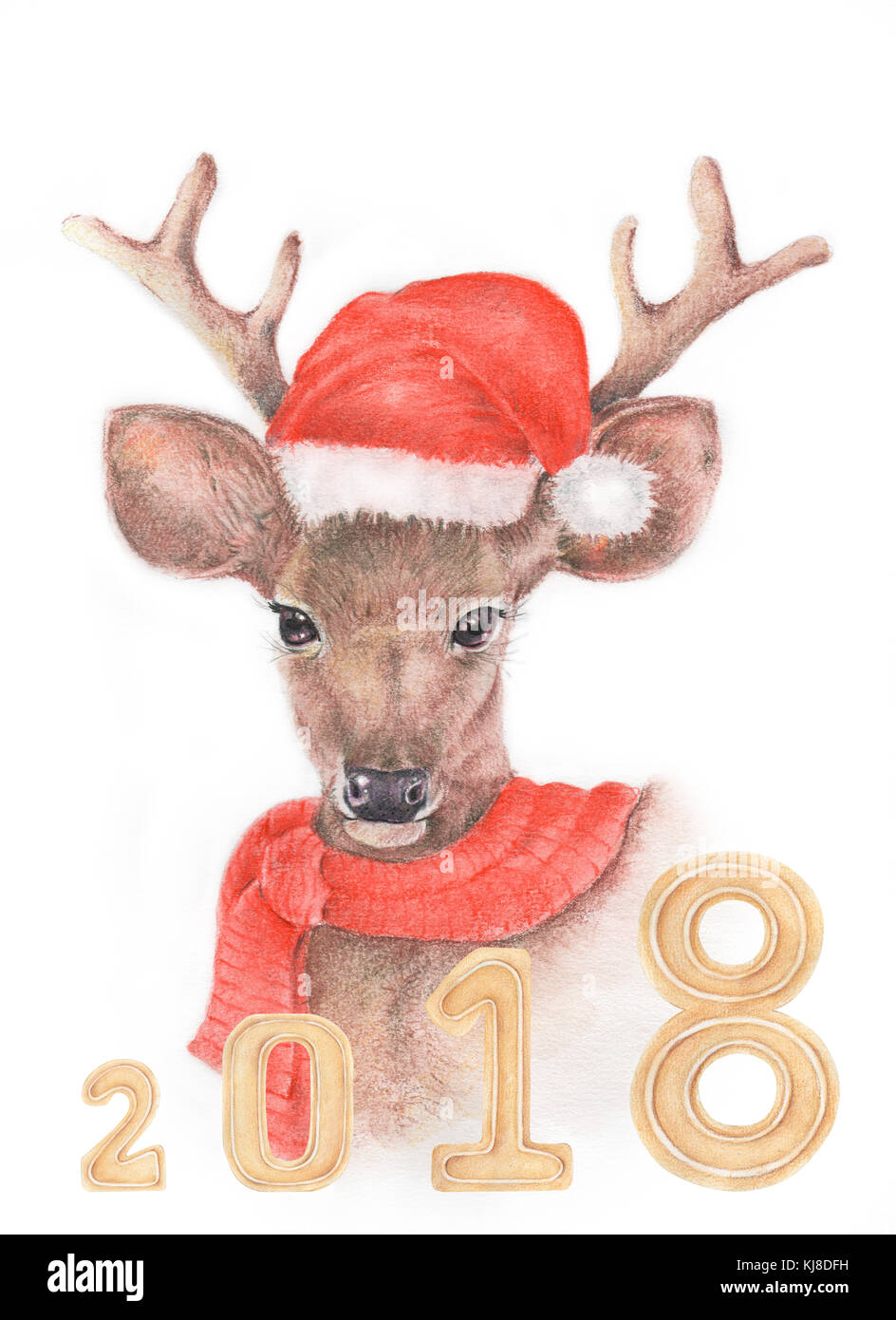 Aquarell und Bleistift Farbe Abbildung: Rotwild von Hand mit Dekoration,  Weihnachten, frohes neues Jahr 2018 Stockfotografie - Alamy