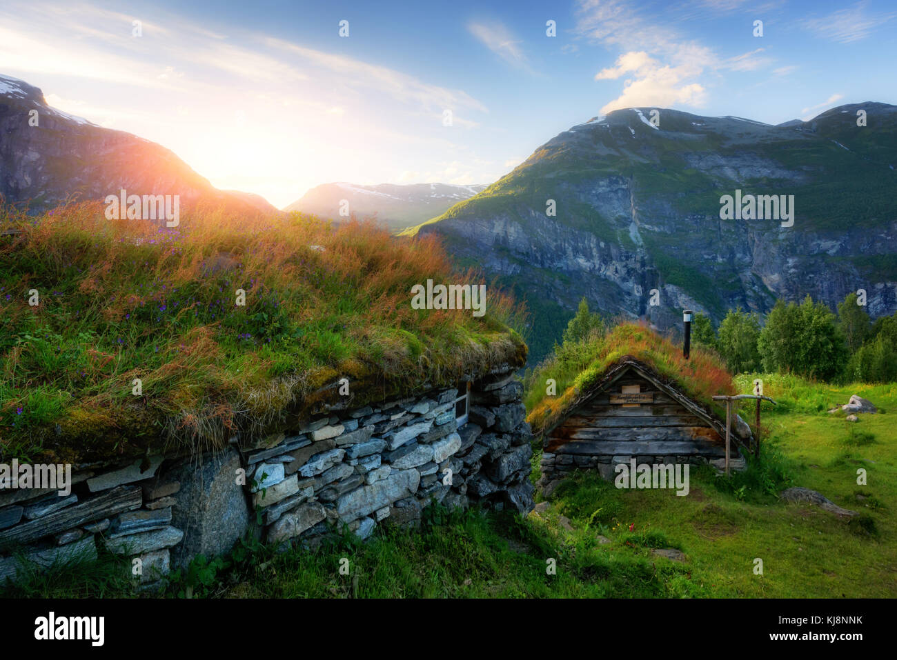 Das Gras-roofed Häuser in Norwegen Stockfoto