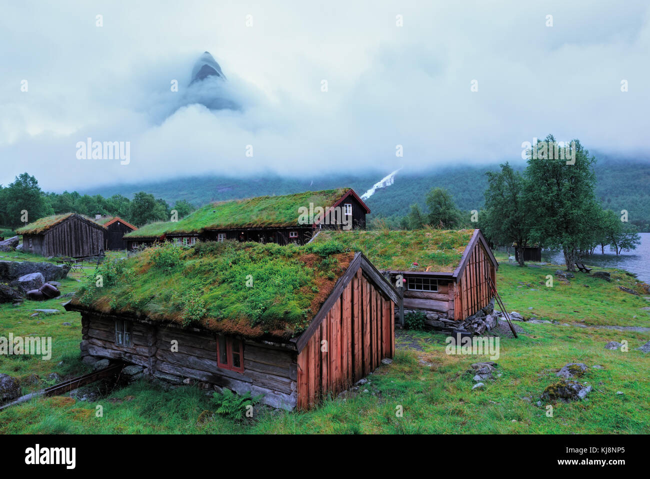 Norwegische Grasdach altes Haus Stockfoto