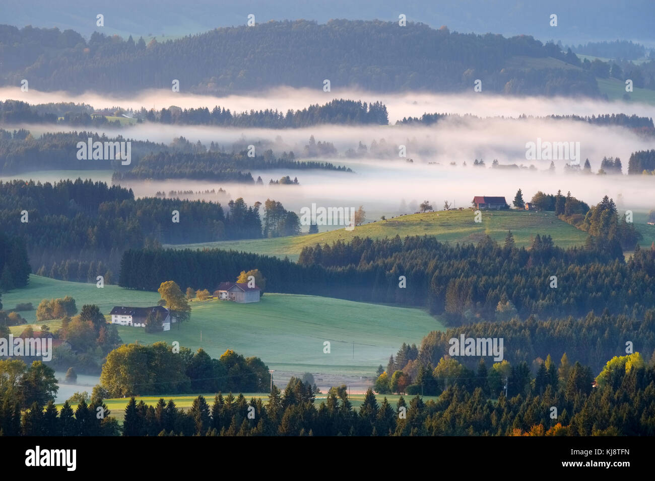 Hügelige Landschaft mit Morgennebel, Ansicht vom Auerberg in der Nähe von Bernbeuren, Pfaffenwinkel, Allgäu, Oberbayern, Bayern Stockfoto
