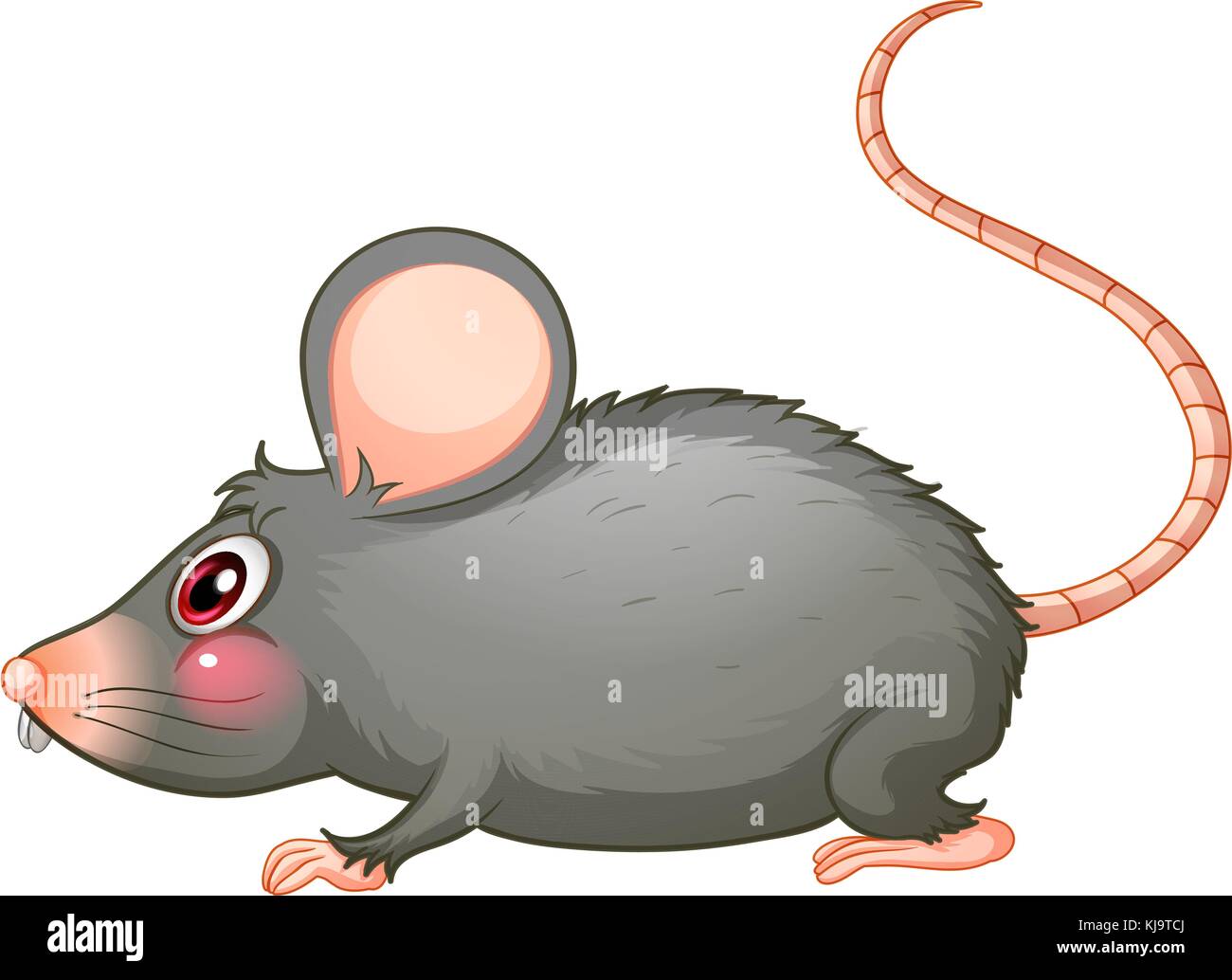 Abbildung: eine graue Ratte auf weißem Hintergrund Stock Vektor