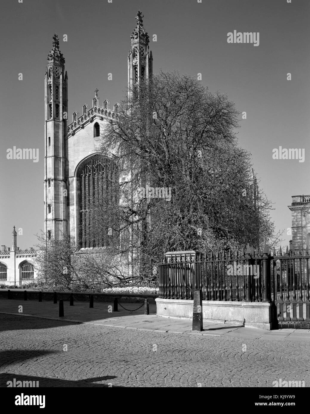 King's College Kapelle auf der King's Parade Cambridge Stockfoto