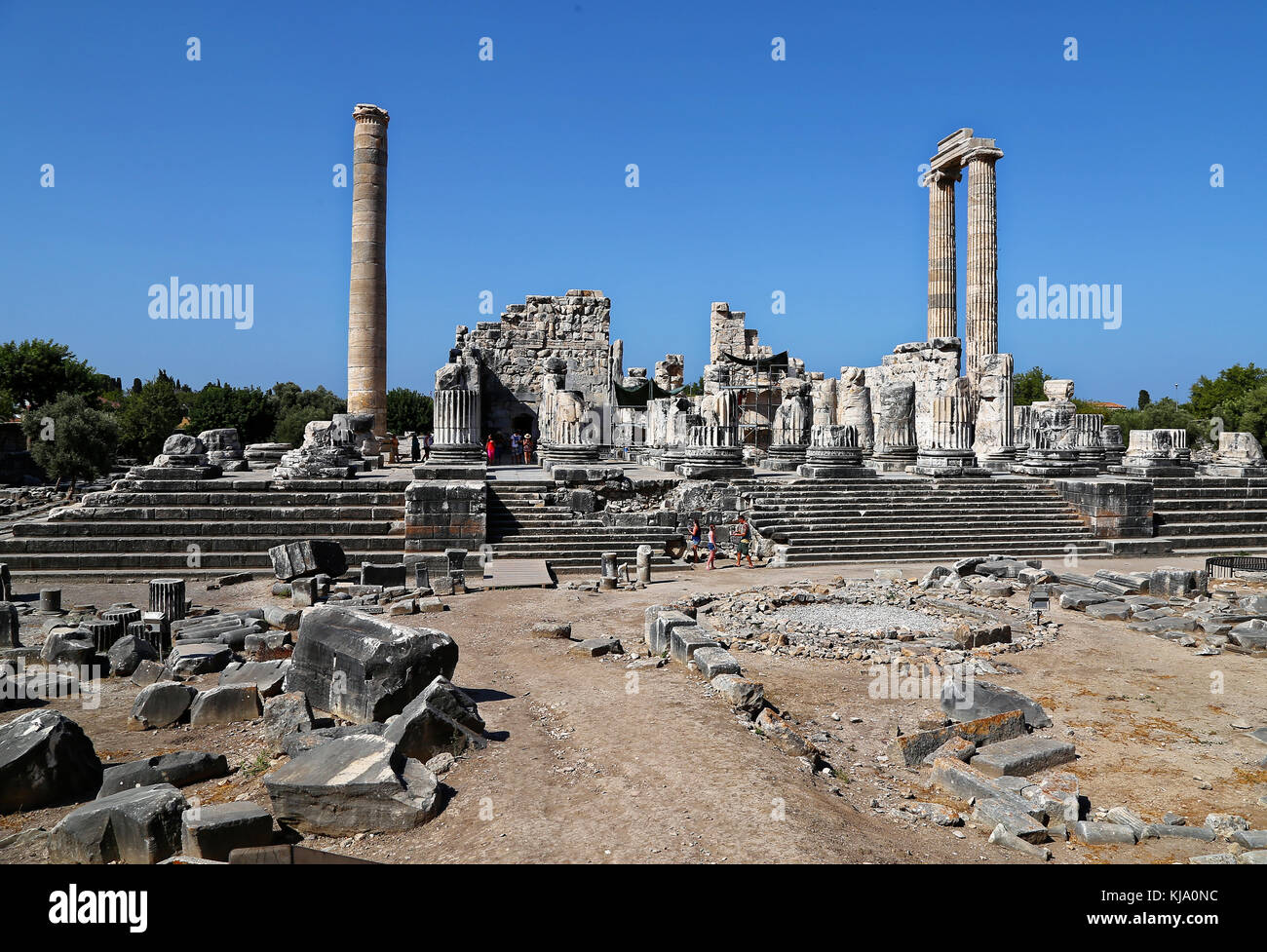 Tempel des Apollo, Didim, Türkei ruiniert Stockfoto