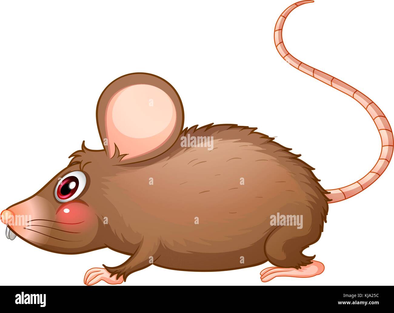 Abbildung: eine Ratte mit einem langen Schwanz auf weißem Hintergrund Stock Vektor