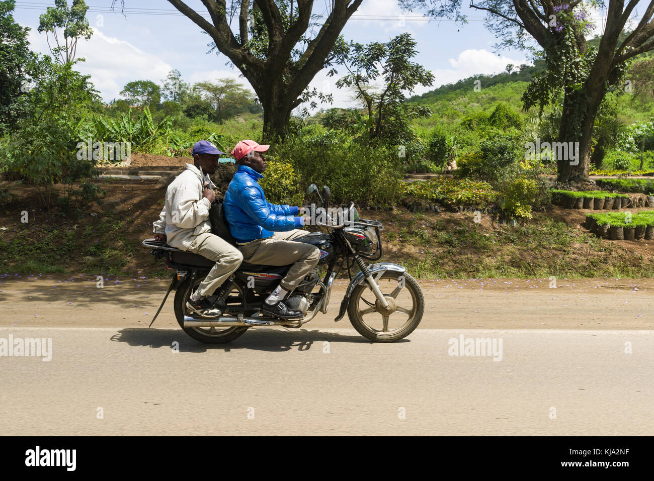 Ein boda boda Taxifahrer auf Motorrad mit Pkw auf der Rückseite auf einer Straße, Kenia, Ostafrika Stockfoto