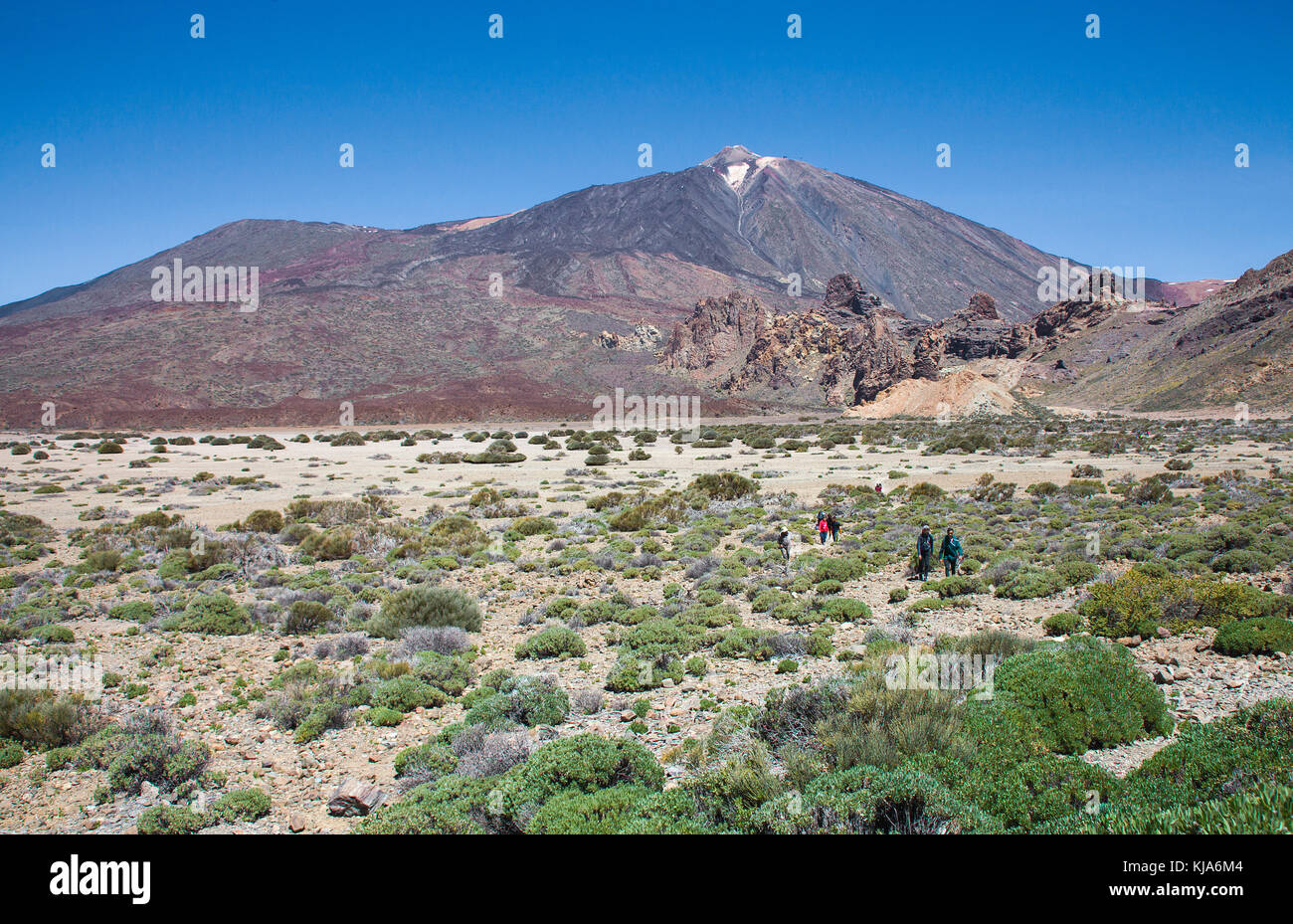 Pico del Teide, Unesco Weltnaturerbe, Weltkulturerbe, mit 3718 Metern der höchste Berg in Spanien, Teneriffa, Kanarische Inseln, Spanien Stockfoto