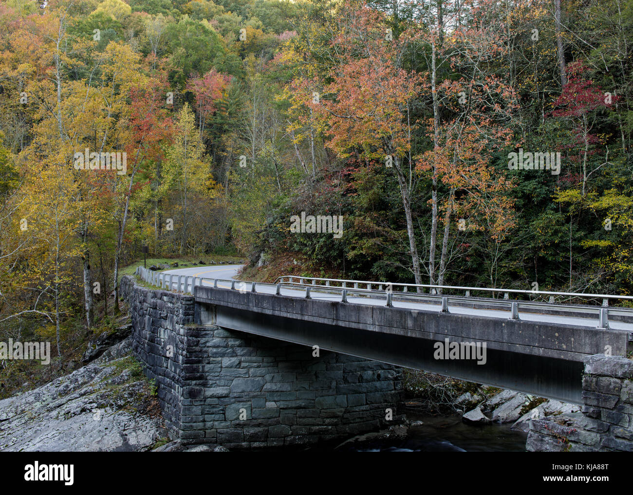 Little River Gorge Road ist ein Abschnitt der Autobahn, die Winde in der Regel Ost und West im Great Smoky Mountain National Park. Das östliche Ende ist der so genannte cades Straße oder Laurel Creek Road Bucht und erstreckt sich von Cades Cove zum Highway 337 kommt von Townsend, Tennessee. Dann wird Little River Gorge Road und folgt der kleine Fluss, der durch den Park mit zahlreichen Faltblätter und einen schönen Blick auf den kleinen Fluss. bei elkmont Straße, ändert sich der Name wieder zu Kämpfen creek Gap Road, und klettert über einen Kamm durch den Park, bevor es hinunter nach unten und treffen uns 441 Am suga Stockfoto