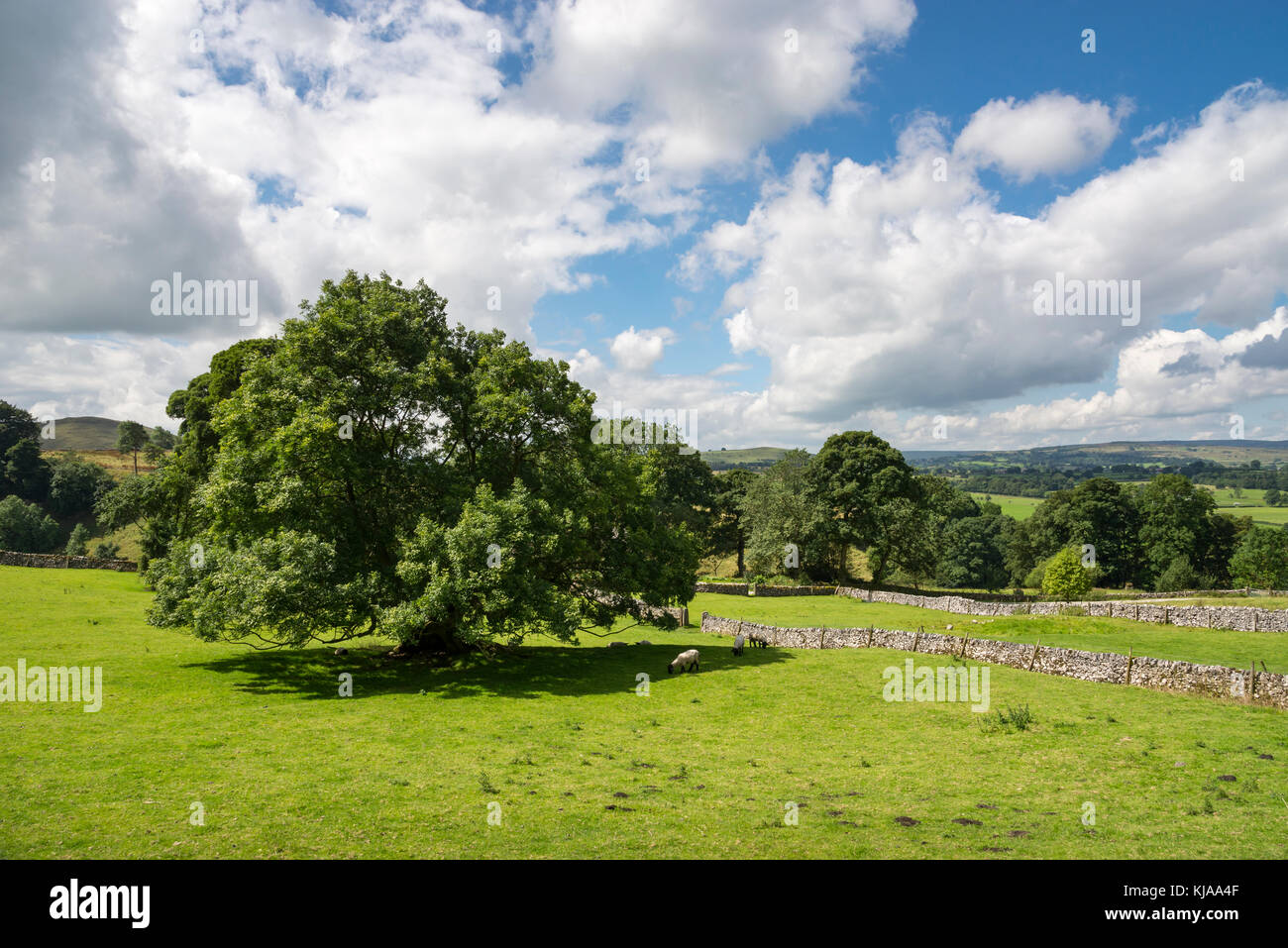 Die ruhige Landschaft in Derbyshire, England auf einen angenehmen Sommertag. Stockfoto
