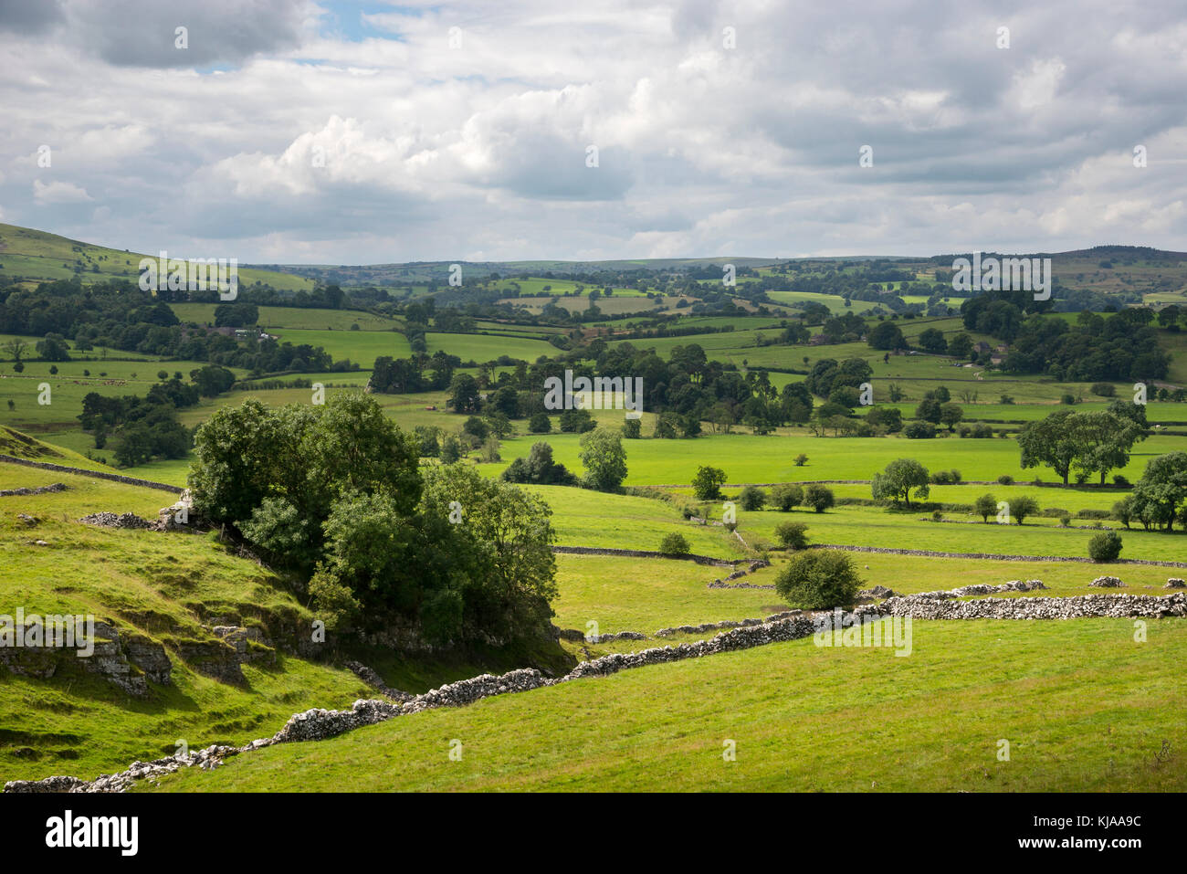 Grüne Landschaft in der nähe von Hartington im Weißen Peakfläche des Peak District, England. Stockfoto