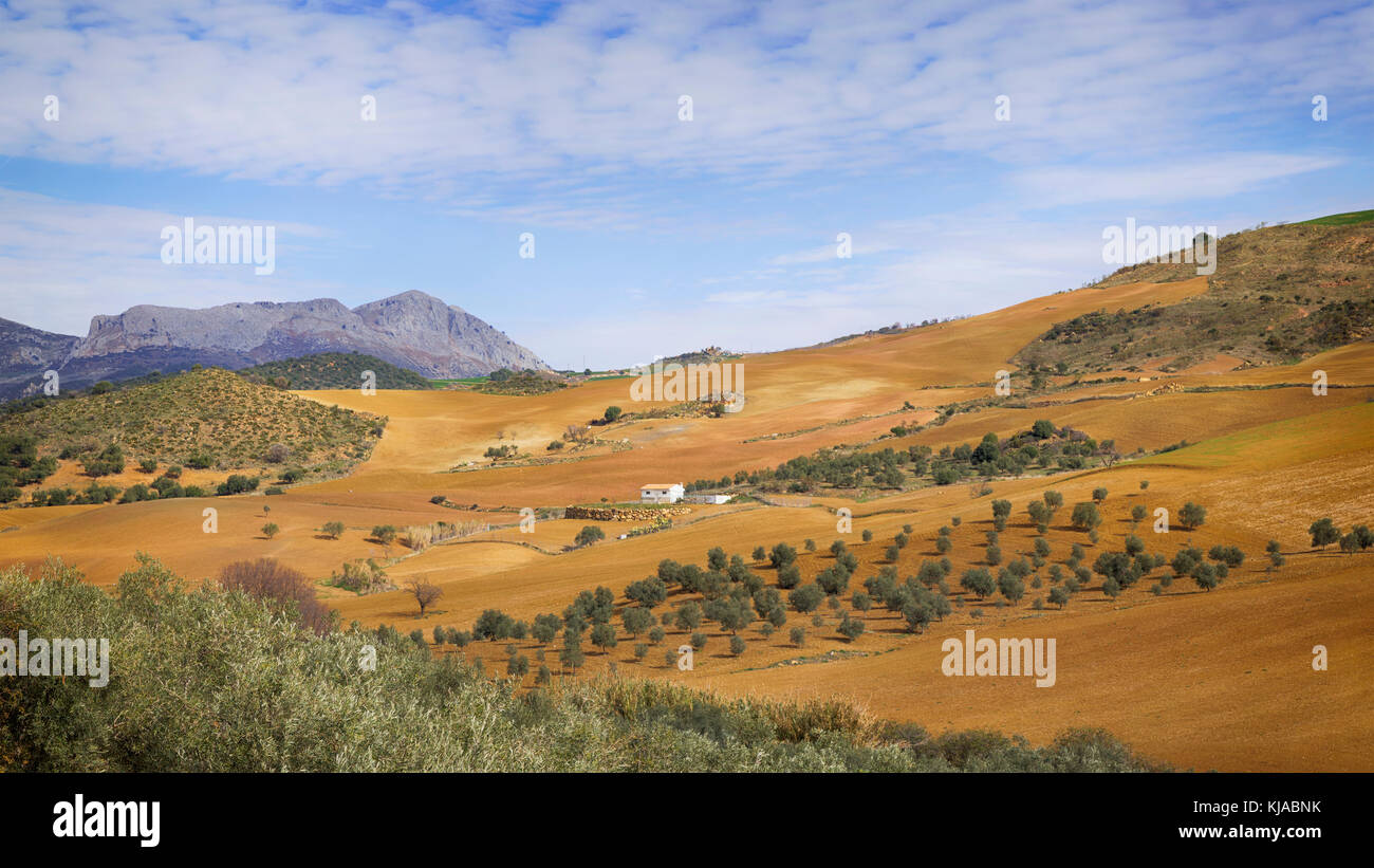 Bauernhaus und Ackerland in der Nähe von Villanueva de la Concepción, Provinz Malaga, Andalusien, Südspanien. Stockfoto