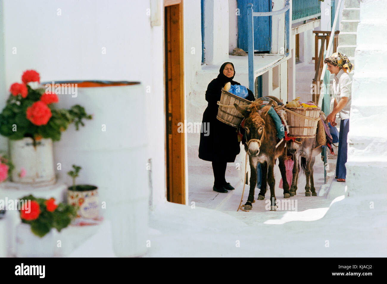 Mykonos Griechenland weiß getünchten Häusern und schmalen schattigen Straßen. Mit älteren Dame Entladen der Esel aus dem Markt. Stockfoto