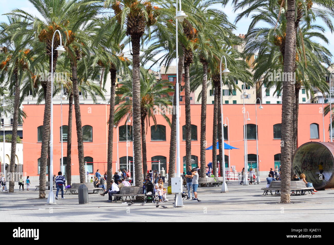 Palmen in Genua, der Hafen des Mittelmeers, mit subtropischem Klima. Stockfoto