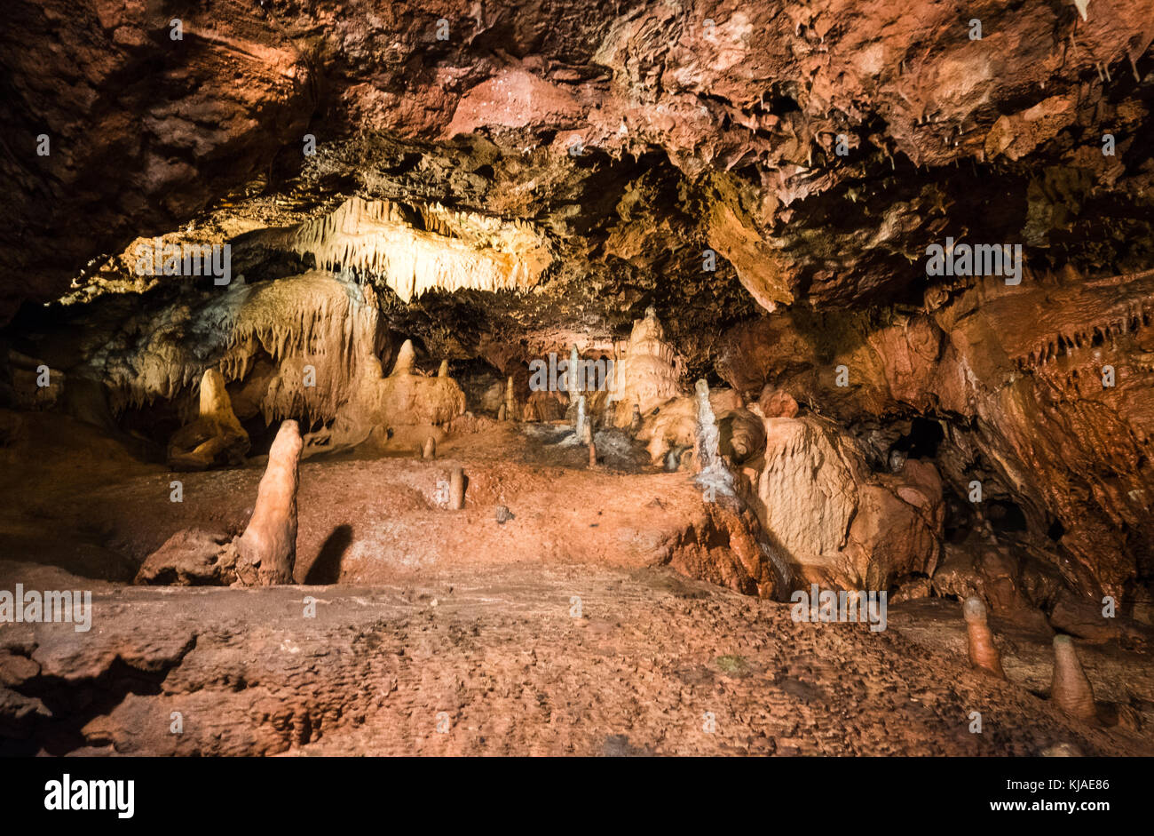 Stalagmiten und Stalaktiten in den prähistorischen Höhlen der Kent Caverns in Devon. Stockfoto