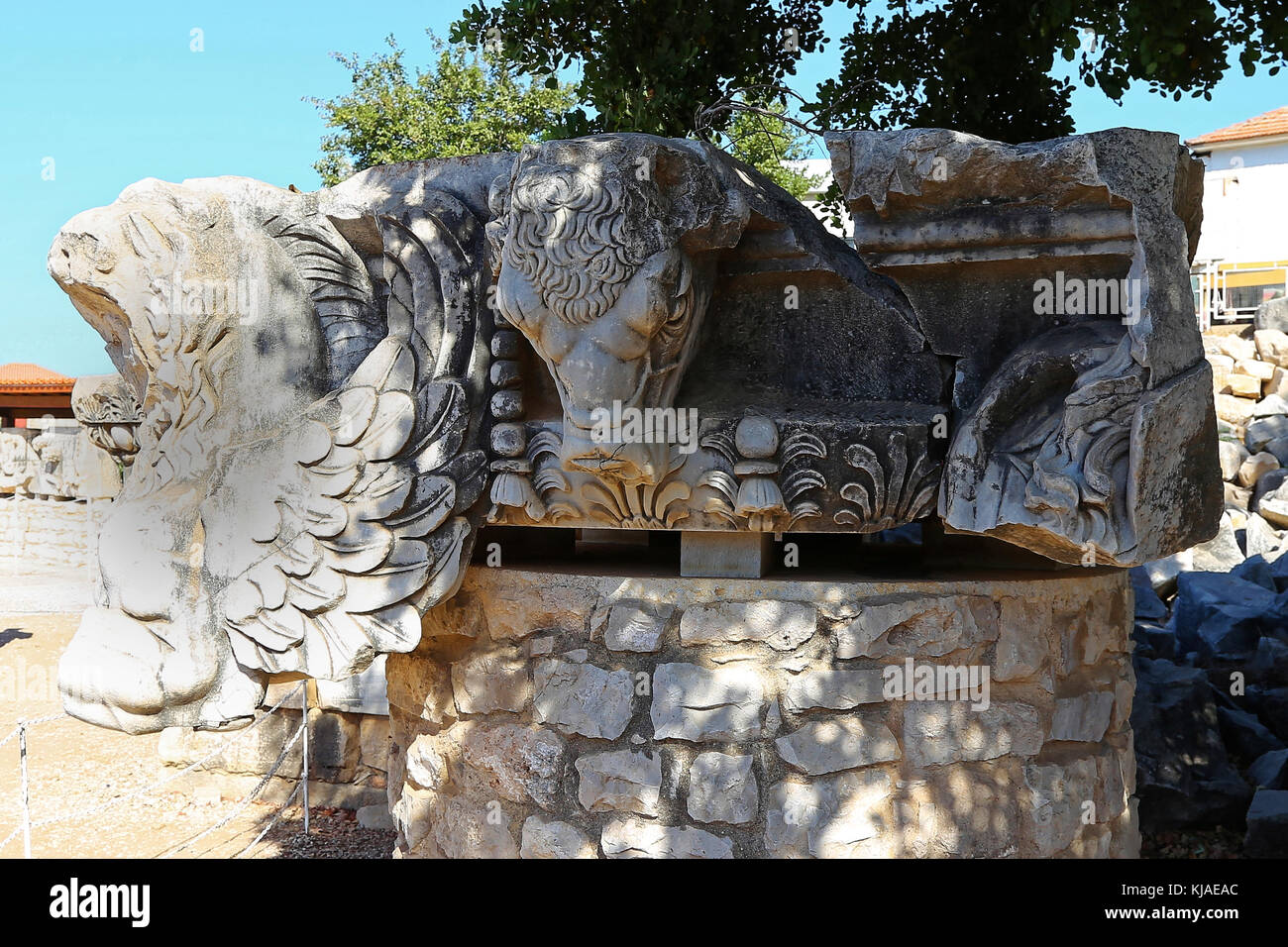 Tempel des Apollo, Didim, Türkei ruiniert Stockfoto