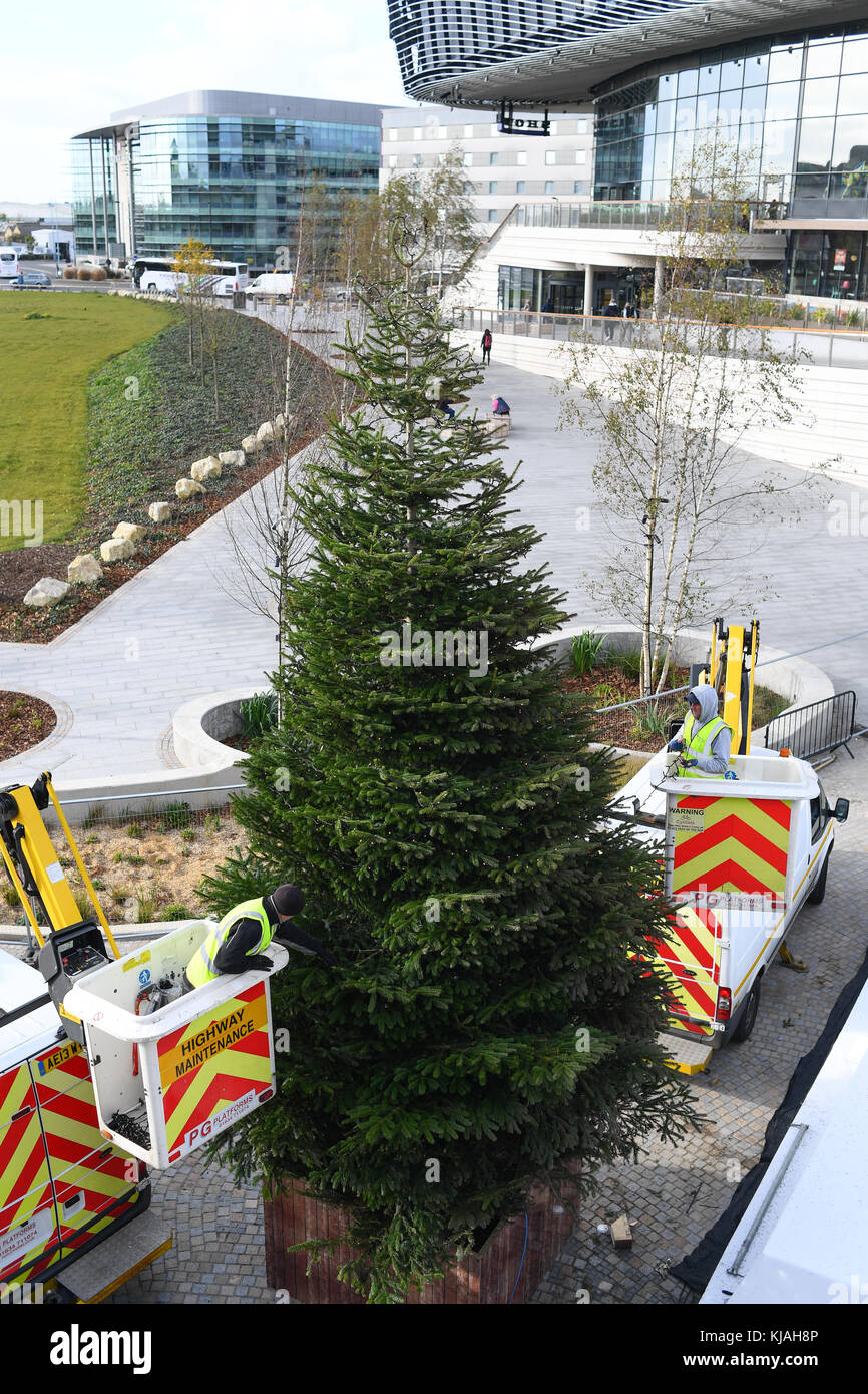 Abrichten der Weihnachtsbaum an der Southampton West Quay England. Stockfoto