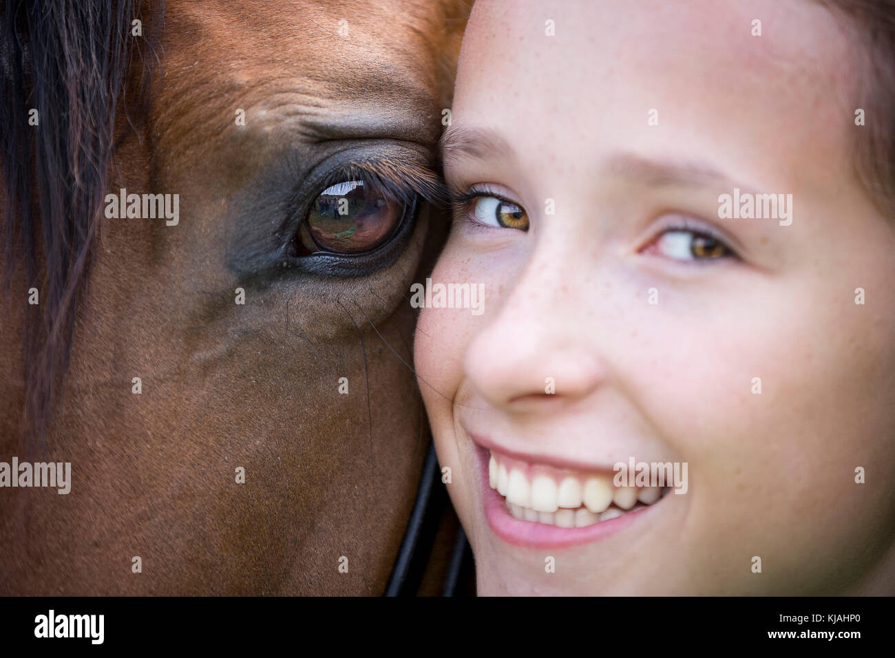 Trakehner. Mädchen Wange an Wange mit Bay Mare. Deutschland Stockfoto