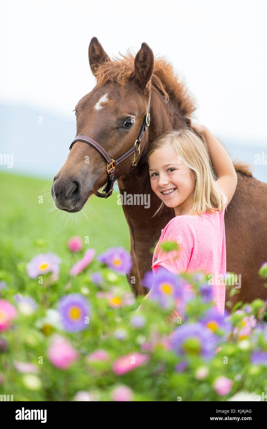 Freiberger Pferd, Delémont. Kleines Mädchen neben Kastanie Fohlen in Blumen. Schweiz Stockfoto
