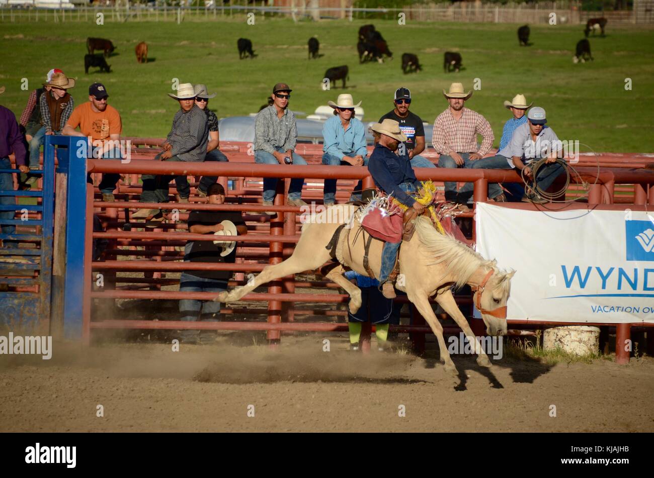 Cowgirl trägt die amerikanische Flagge auf dem roten Reiter rodeo
