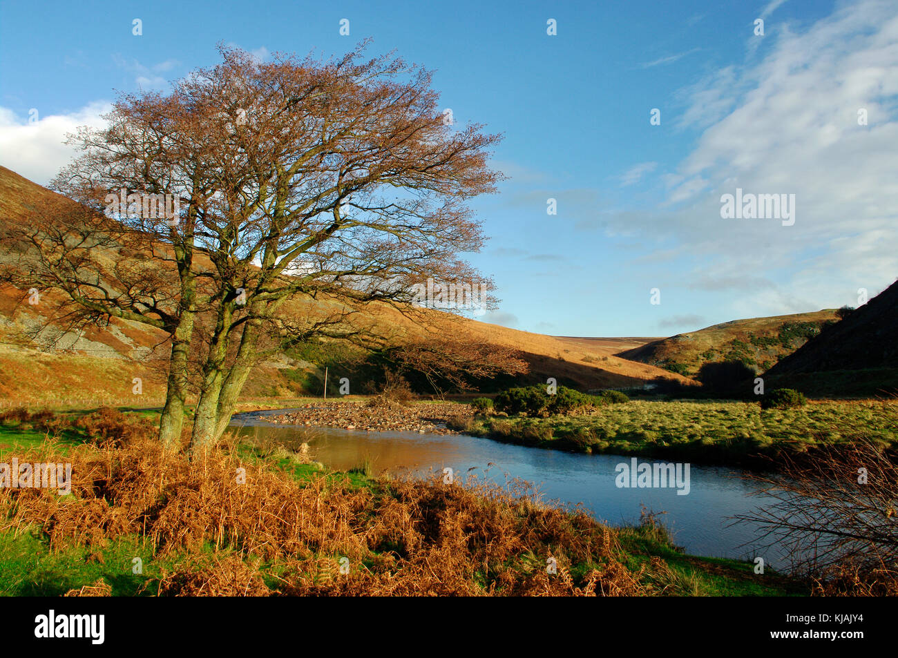 Fluss breamish, Ingram Tal, northumberland Stockfoto