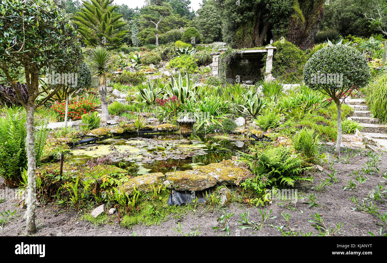 Tresco Abbey Gardens, Tresco, Isles of Scilly, England, Großbritannien Stockfoto Tresco Abbey Gardens, Tresco, Isles of Scilly, England, Großbritannien Stockfoto