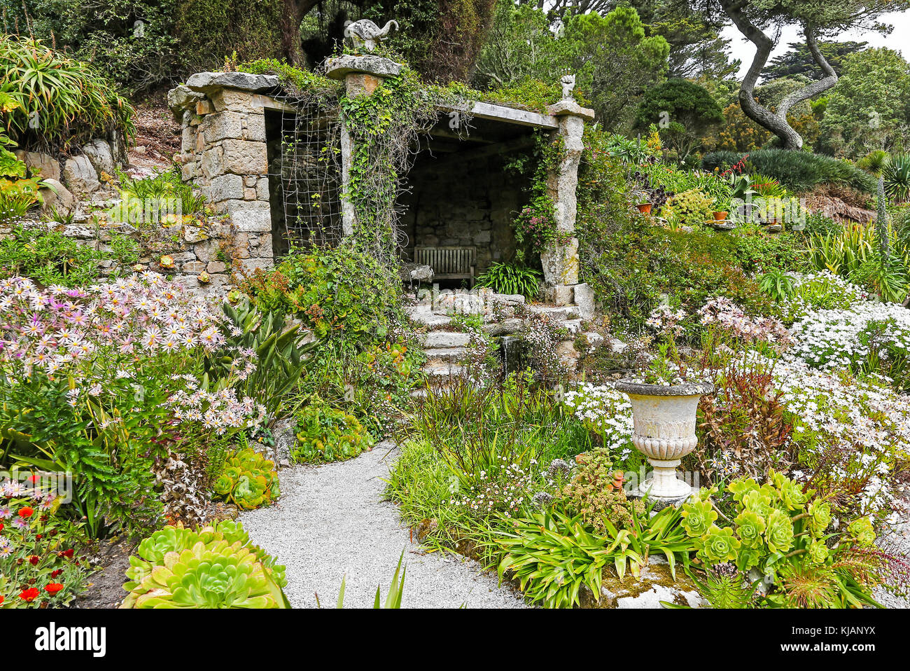 Tresco Abbey Gardens, Tresco, Isles of Scilly, England, Großbritannien Stockfoto Tresco Abbey Gardens, Tresco, Isles of Scilly, England, Großbritannien Stockfoto