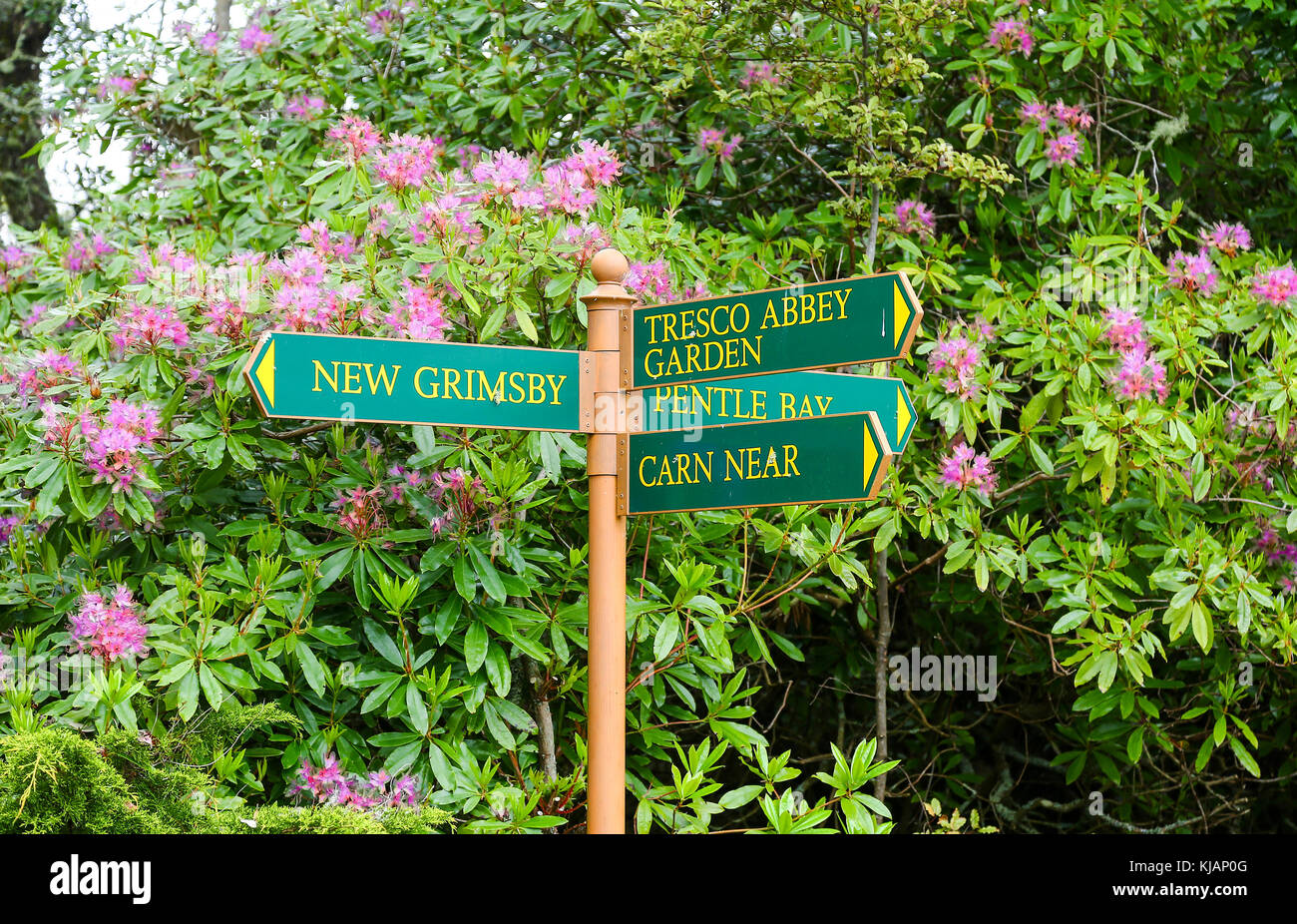 Tresco Abbey Gardens, Tresco, Isles of Scilly, England, Großbritannien Stockfoto Tresco Abbey Gardens, Tresco, Isles of Scilly, England, Großbritannien Stockfoto