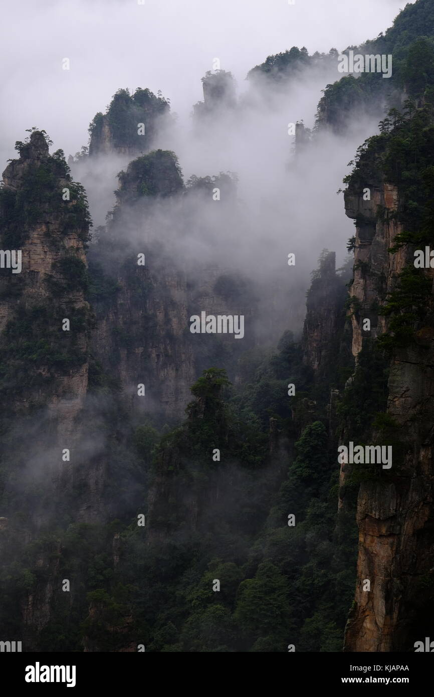 Wirbelnde Wolken über dem Gipfel des Zhangjiajie National Forest Park am Landschaftspark Wulingyuan gelegen malerischen Ort in der Provinz Hunan in China Stockfoto