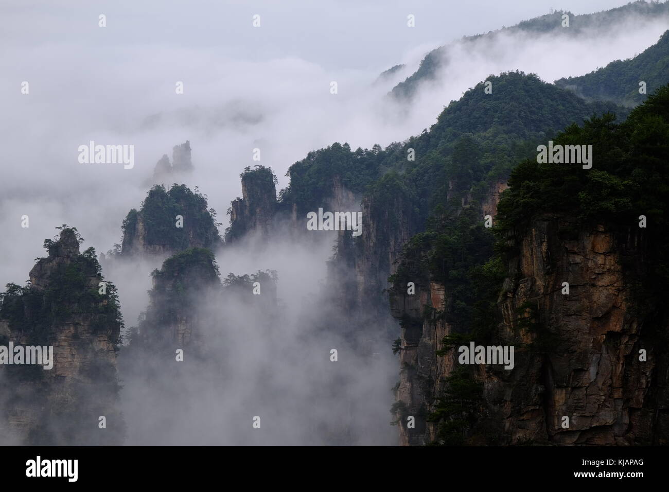 Wirbelnde Wolken über dem Gipfel des Zhangjiajie National Forest Park am Landschaftspark Wulingyuan gelegen malerischen Ort in der Provinz Hunan in China Stockfoto