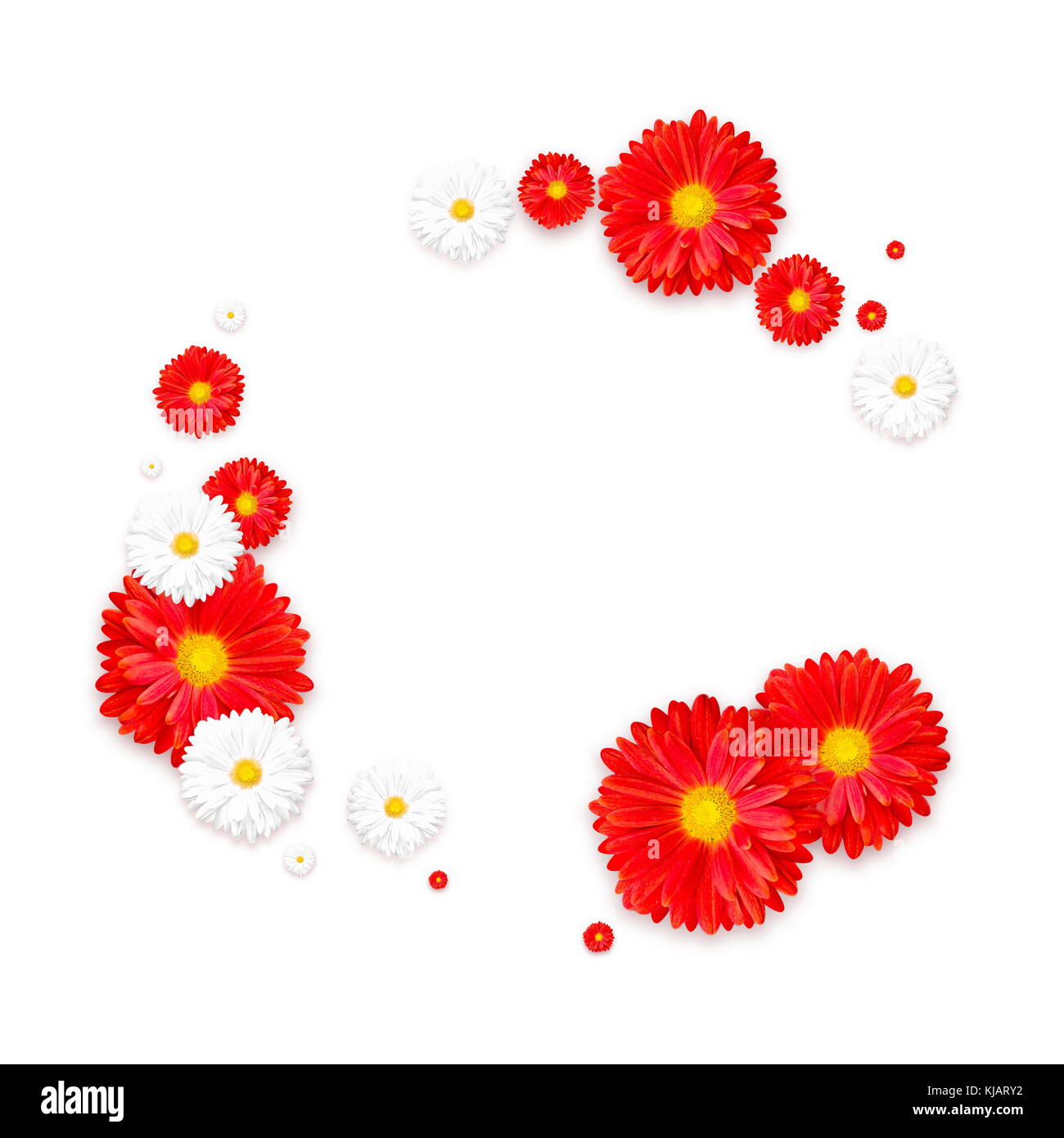 Weißer Hintergrund mit schönen bunten Blume. wallpaper Flyer, Einladungen, Poster, Broschüre gutschein rabatt Stockfoto