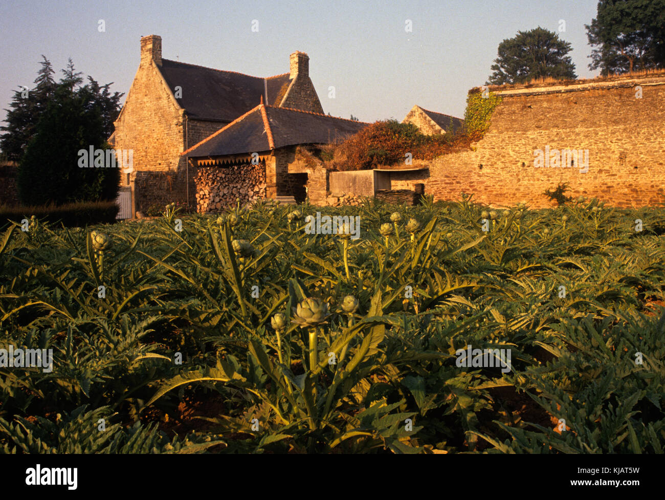 Die Bretagne ist eine Region im nordwesten Frankreich und besteht aus Finistère im Westen, Côtes-d'Armor im Norden, Ille-et-Vilaine im Norden Osten, Loire-Atlantique im Südosten und Morbihan im Süden an den Golf von Biskaya. Stockfoto