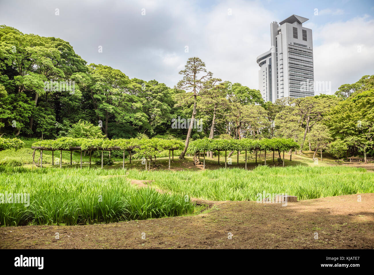 Koishikawa Korakuen Gardens, Tokio, Japan Stockfoto