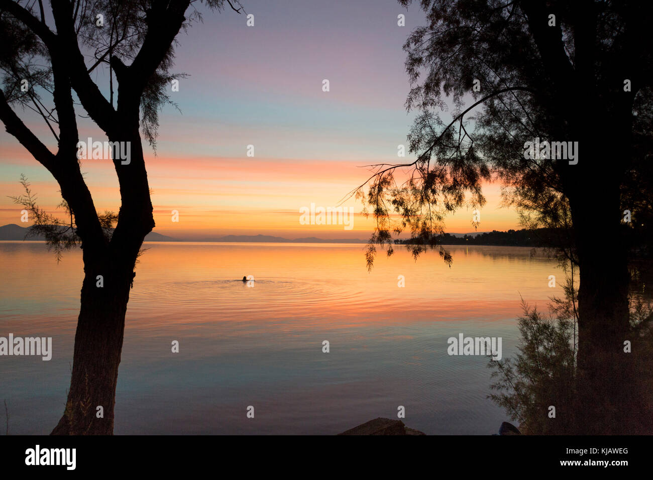 Das ruhige Meer spiegelt das helle orange Dämmerung Himmel und plätschert der fernen, silhouetted Kopf eines einsamen Schwimmer umgeben. Stockfoto