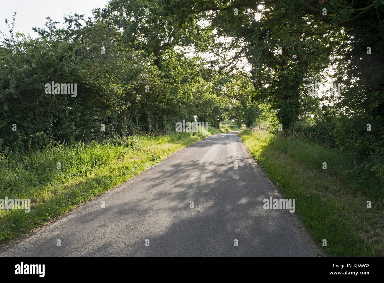 Country Lane in der Nähe von thursford Norfolk Sommer Stockfoto