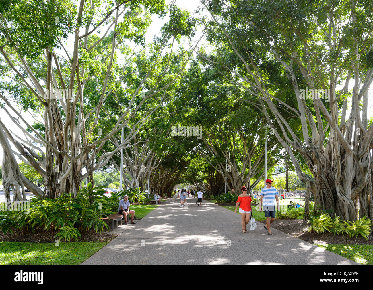 Menschen gemütlich in der Nähe von Cairns Esplanade Cairns, Far North Queensland, FNQ, QLD, Australien bummeln Stockfoto