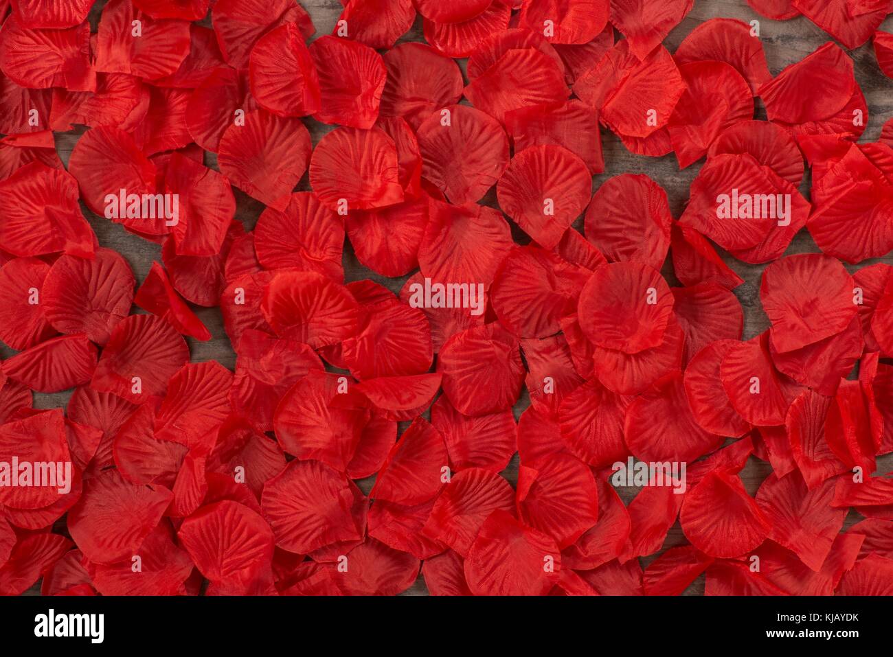 Valentines Tag Blütenblatt Hintergrund Stockfoto