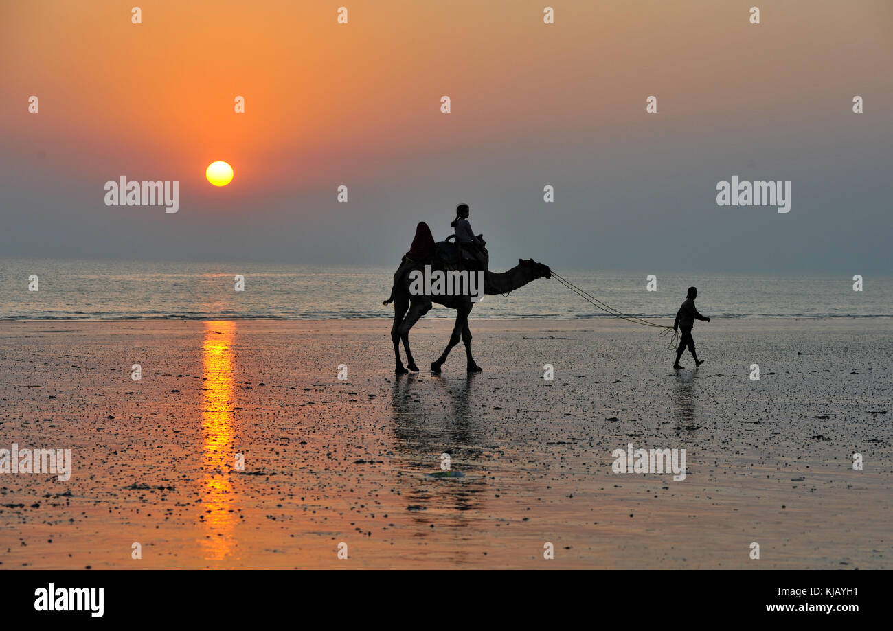 Am Strand Mandvi, Kutch, Gujarat, Indien am Abend Zeit - Sonnenuntergang - ein Kamel und Mitfahrer - Silhouette mit Reflexion der Sonne im goldenen Licht Stockfoto