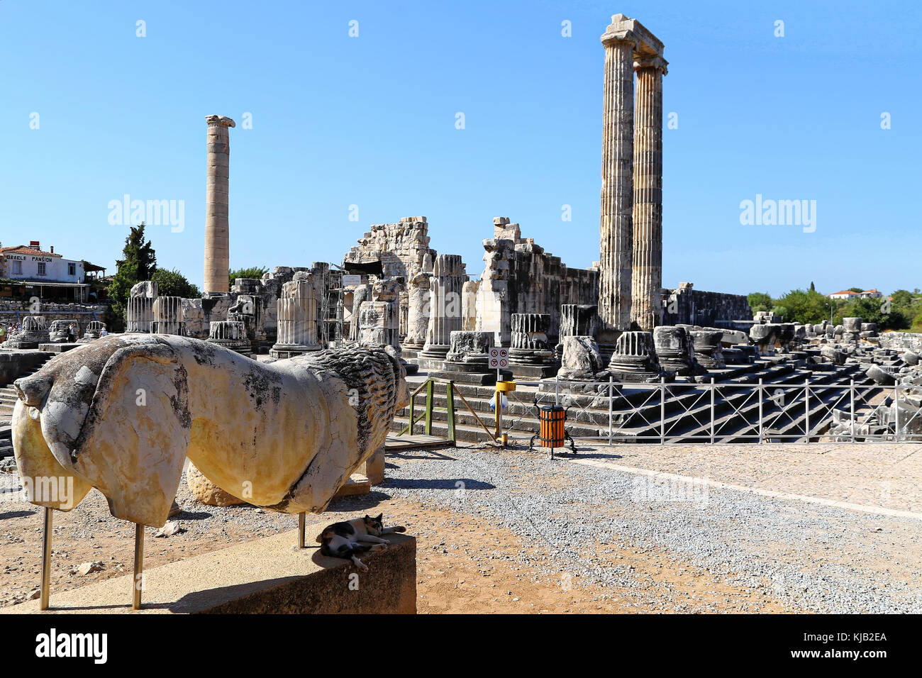 Tempel des Apollo, Didim, Türkei ruiniert Stockfoto