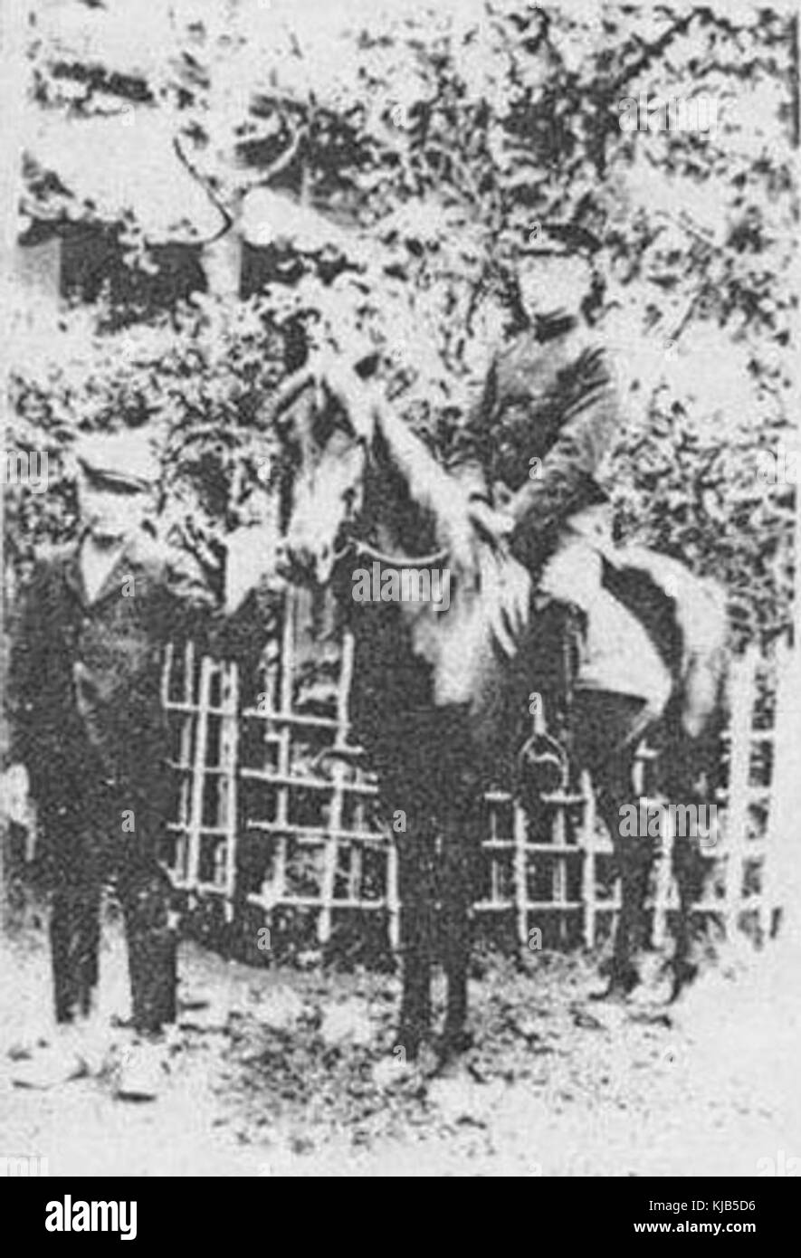 Ein Porträt von Yu Yinglu, einer bedeutenden Persönlichkeit in der chinesischen Geschichte, die für ihren Beitrag zur Gesellschaft im 20. Jahrhundert bekannt ist. Das Bild unterstreicht ihre Bedeutung im politischen oder kulturellen Bereich. Stockfoto