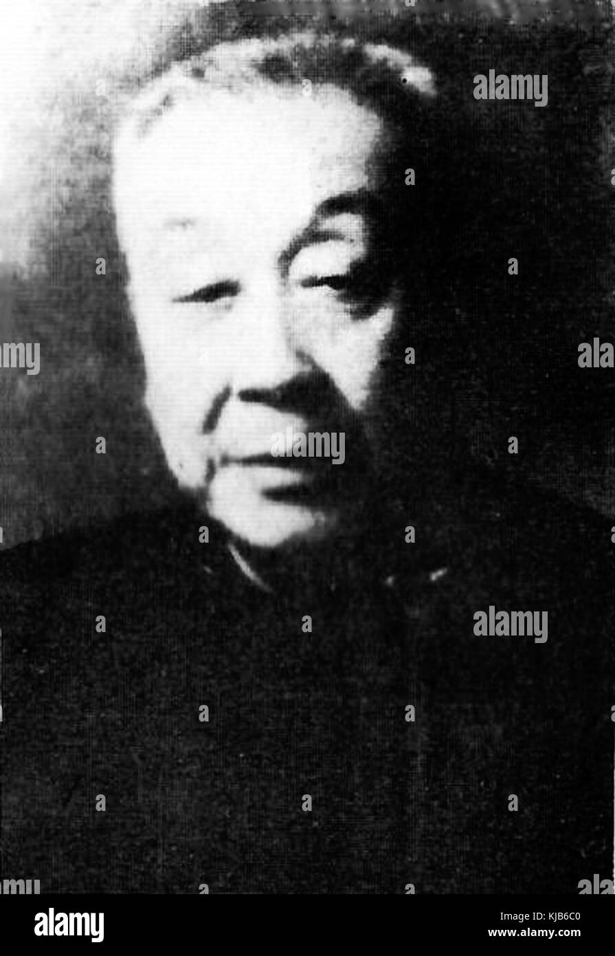 Zhu Qinglan Stockfoto Zhu Qinglan Stockfoto
