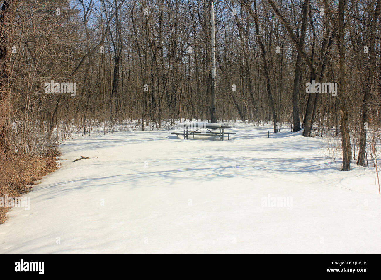 Gfp Minnesota tal Picknickplatz Stockfoto
