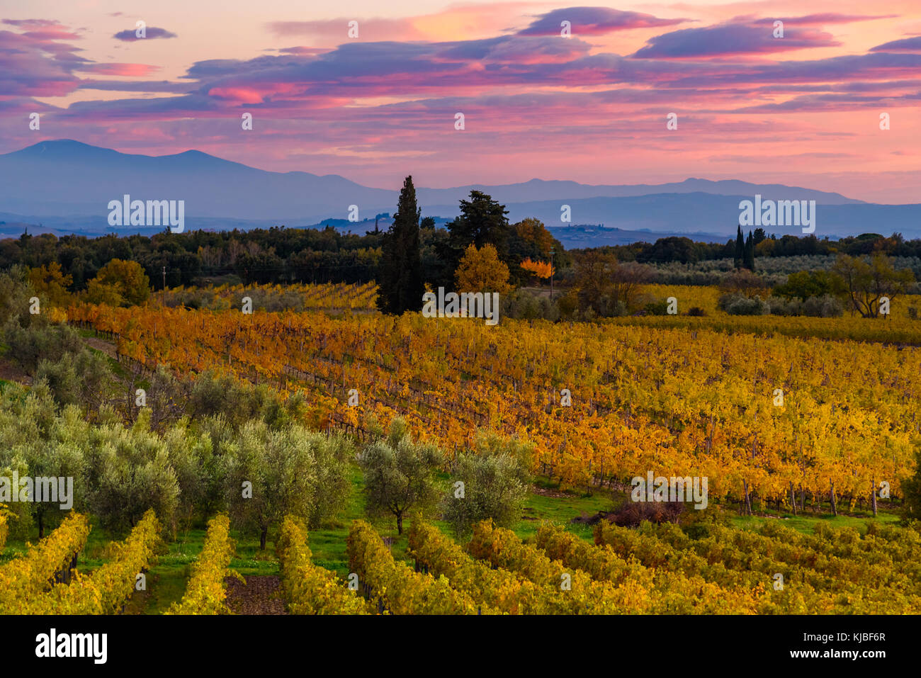 Panoramablick auf das Chianti Gebiet in der Toskana, Italien. Herbst Saison. Stockfoto