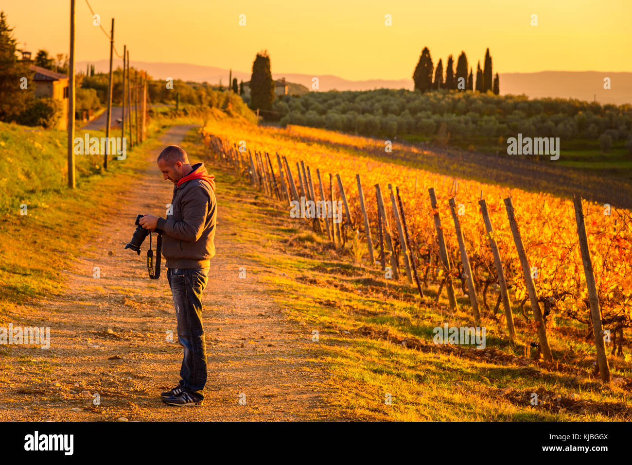 Siena, Italien - 16. November 2017: Ein Mann stellt seine eigene Kamera auf, um den Sonnenuntergang zwischen den herbstlichen Chianti-Weinbergen in der Toskana festzuhalten. Stockfoto