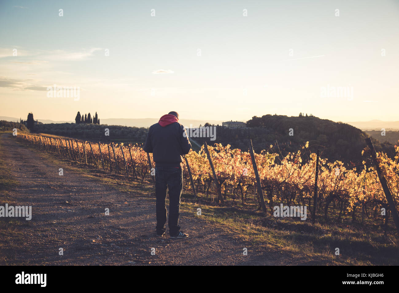 Siena, Italien - 16. November 2017: Ein Mann stellt seine eigene Kamera auf, um den Sonnenuntergang zwischen den herbstlichen Chianti-Weinbergen in der Toskana festzuhalten. Stockfoto
