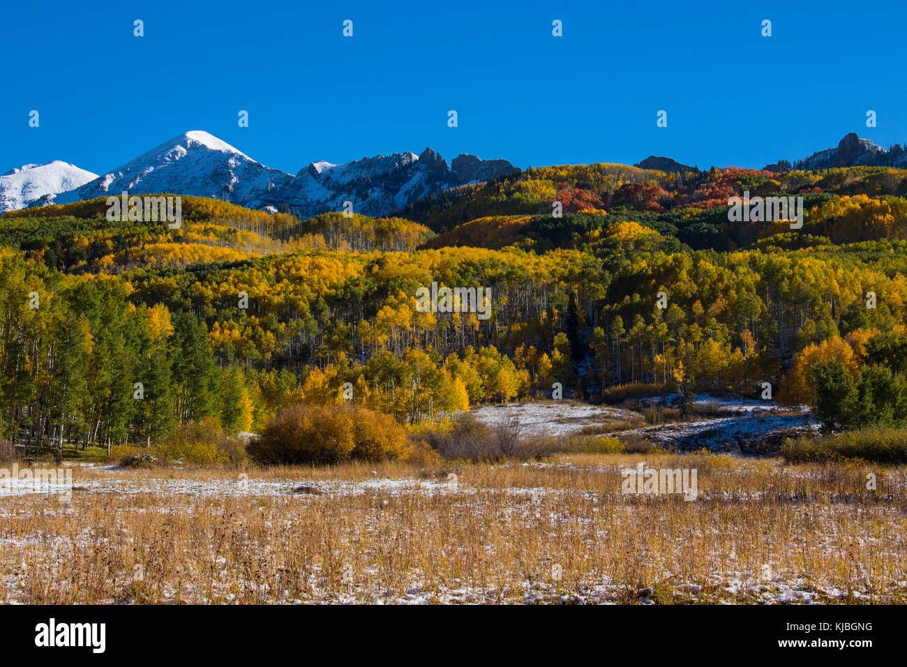Herbst Farben auf kebler Pass außerhalb von Crested Butte Colorado Stockfoto