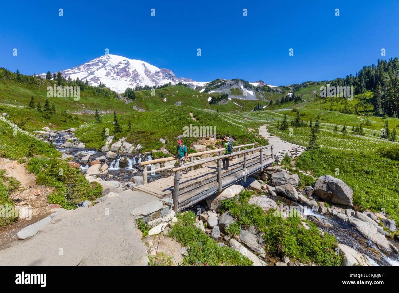 Myrtle Falls am Edith Creek auf dem Myrtle Falls Trail im Paradise-Abschnitt des Mount Rainer National Park im US-Bundesstaat Washington Stockfoto