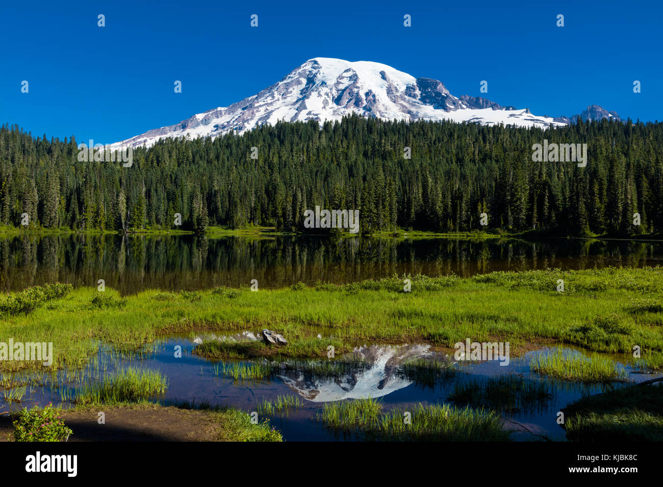 Reflexion des Mount Rainier in Reflexion See auf dem Stevens Canyon Road im Mount Rainier National Park im Staat Washington in den Vereinigten Staaten Stockfoto