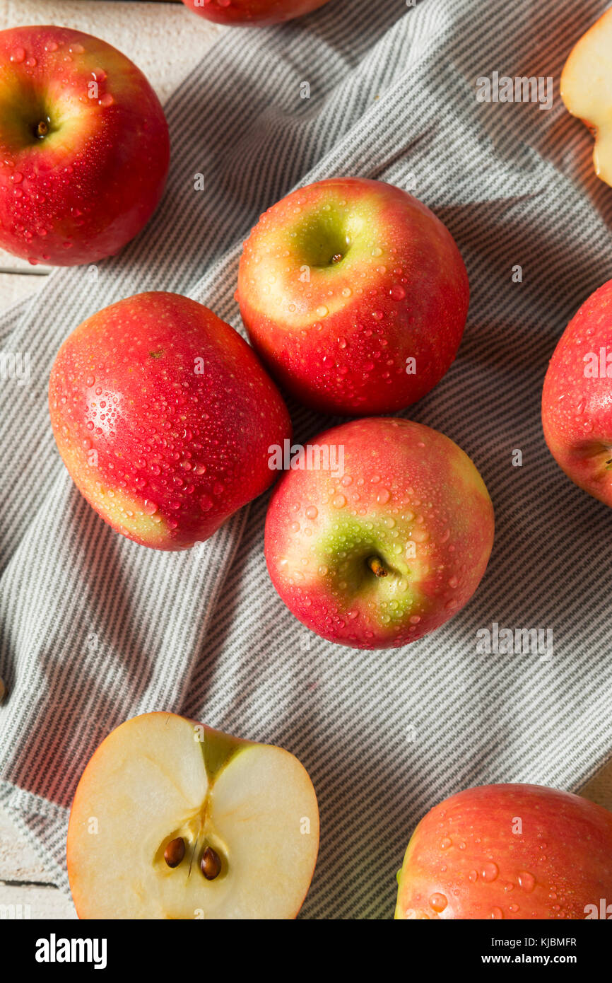 Raw rot Organic pink lady Äpfel bereit zu essen Stockfoto