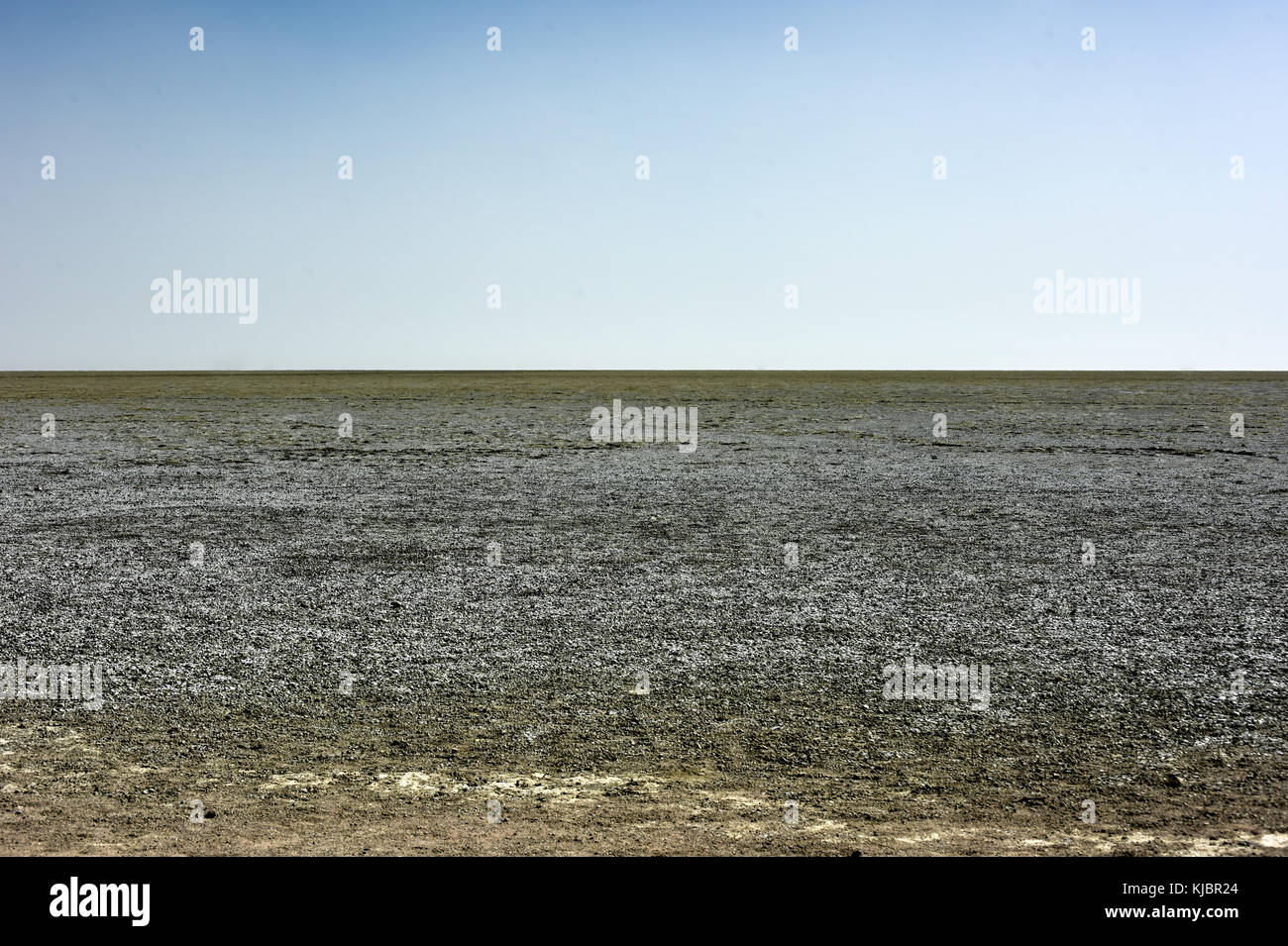 Der Etoscha Pfanne ist ein großer endorheic Salzpfanne, die Teil der Kalahari Becken im Norden Namibias. Stockfoto